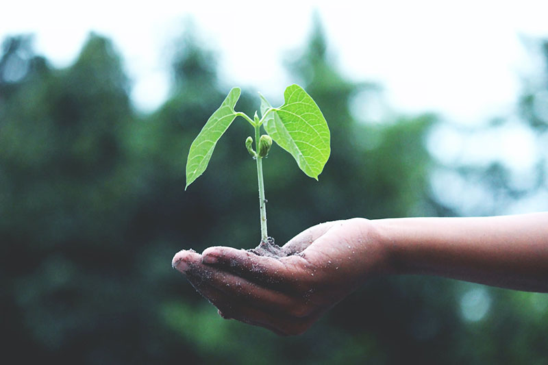 Triangle of sustainability explained