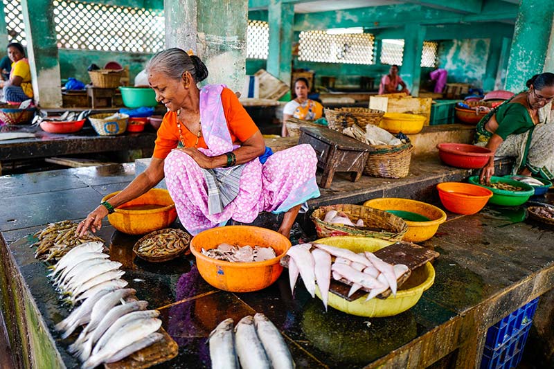 Fische essen - Warum verzichten?