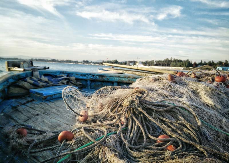 Fishing net - Why vegans don't eat fish