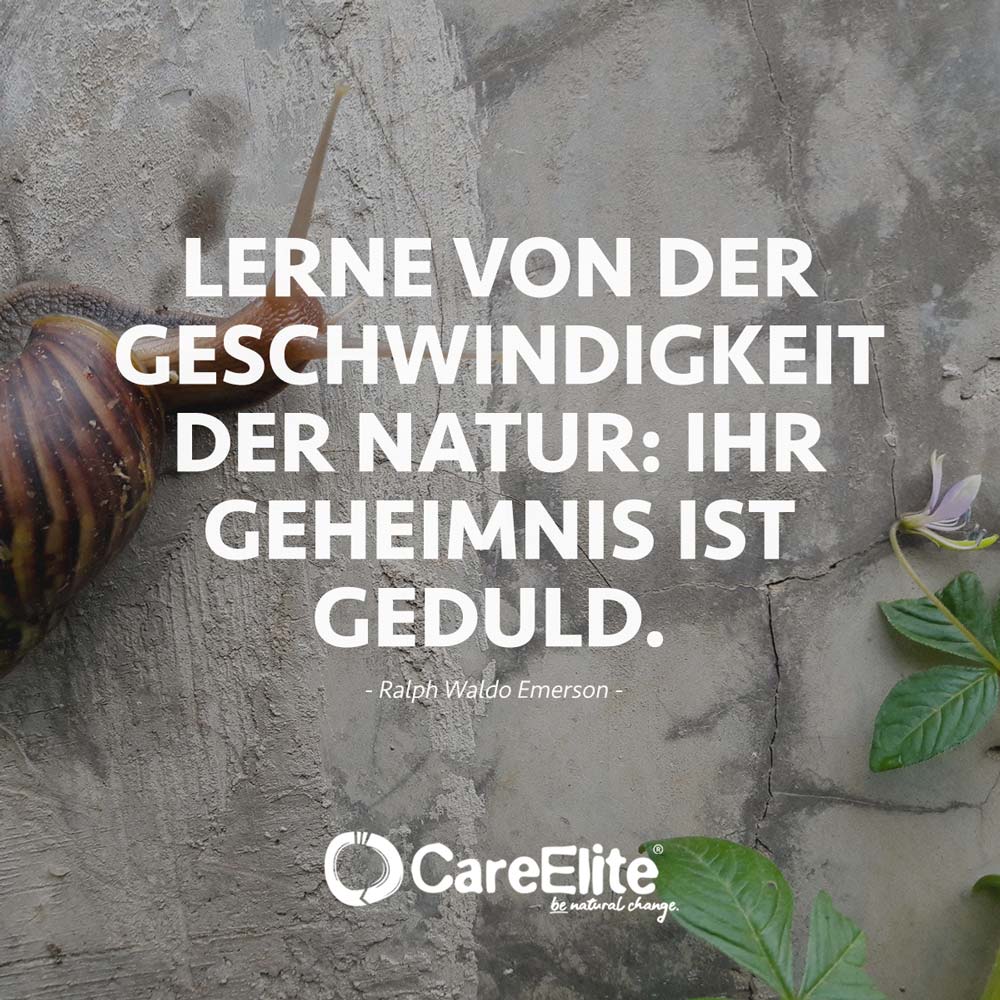 Geduldig sein zitate 30 Zitate