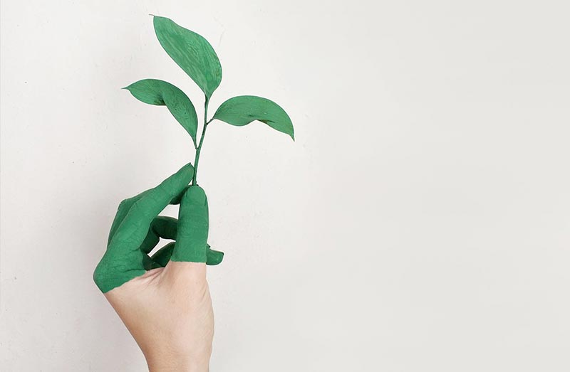 Green marketing - definition, benefits and more