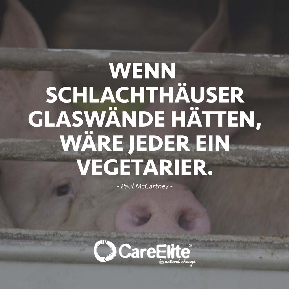 Tierschutz Zitat - Schlachthäuser Glaswände