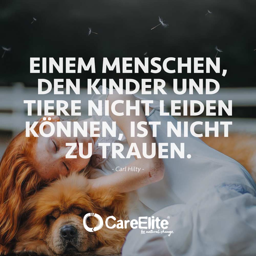 Vertrauen spruch liebe und