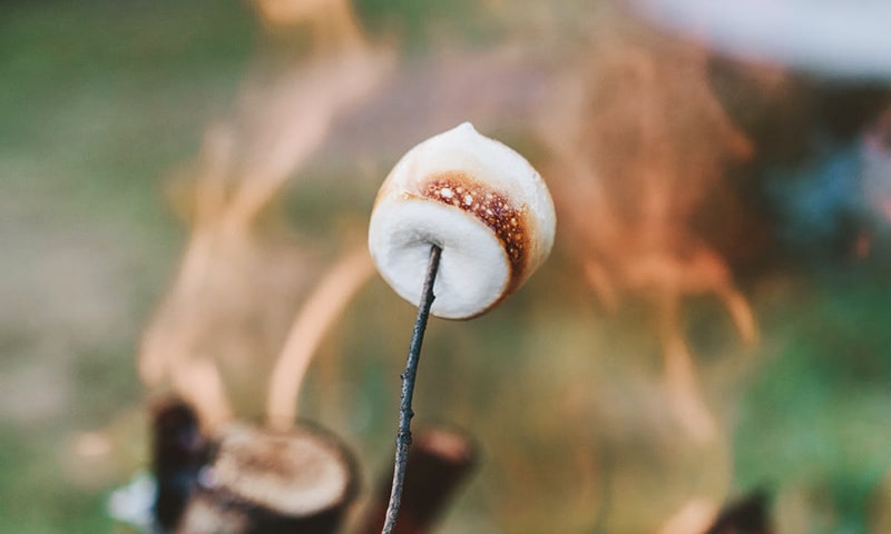 Non-vegetarian food - marshmallows