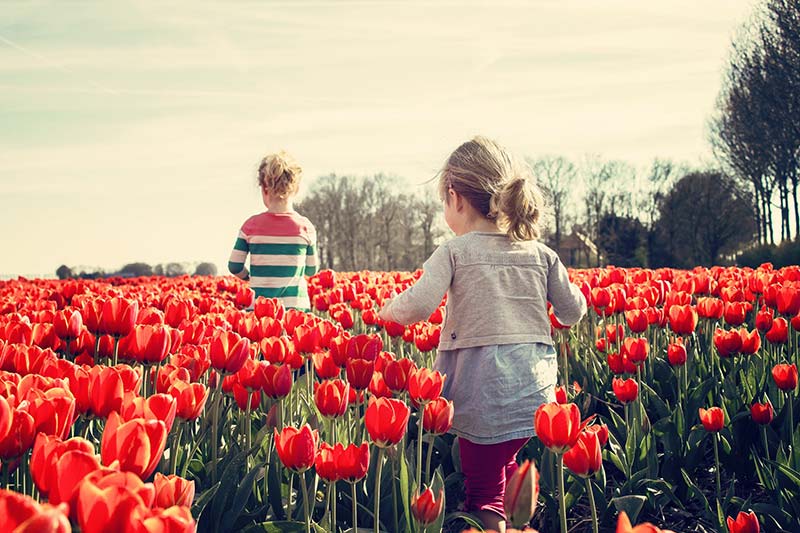 Kinderfrei bleiben - ist das wirklich nachhaltig?