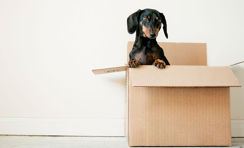 Sustainable moving tips
