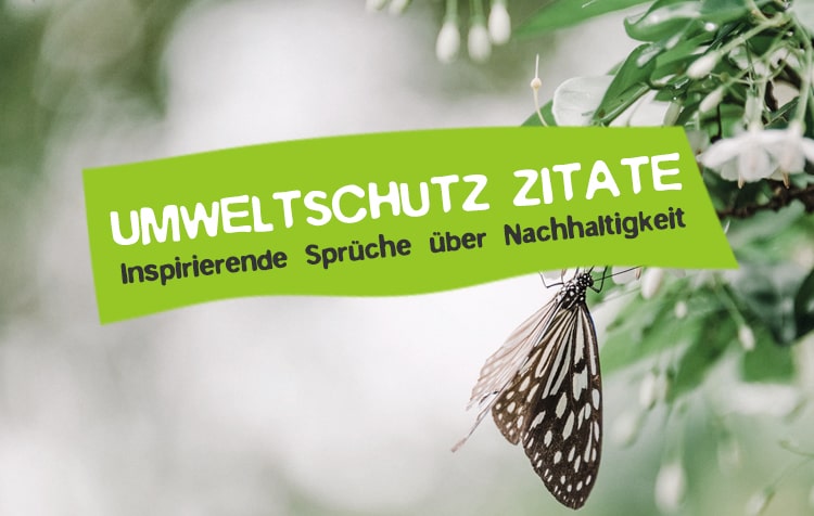 66 Umweltschutz Zitate Nachhaltigkeit Spruche Careelite