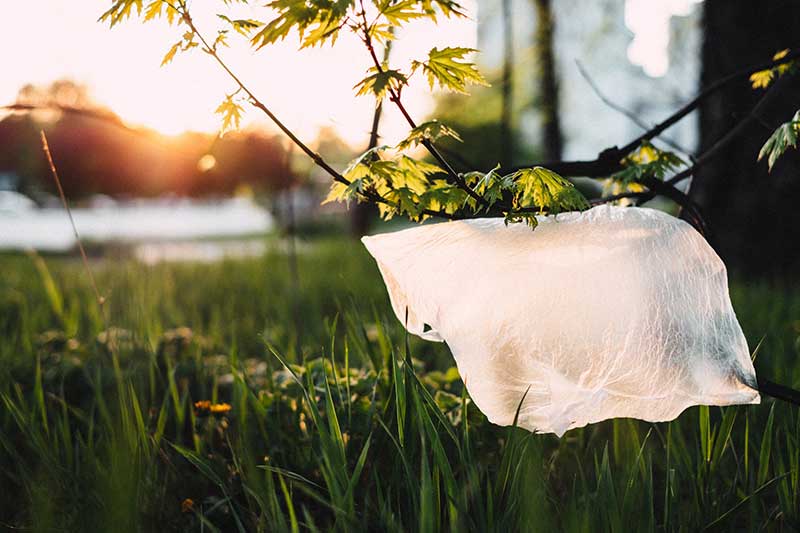 Umweltsünden im Alltag - Einwegplastik