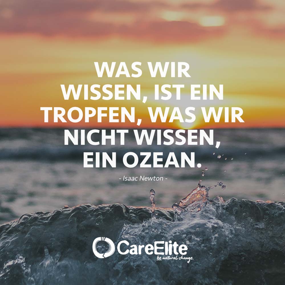 40-bildung-zitate-die-besten-spr-che-ber-wissen-careelite